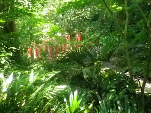 佐助稲荷神社の自然