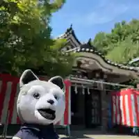 若宮八幡宮 (神奈川県)
