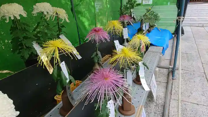 八幡八雲神社のその他建物