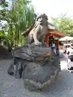 浅草神社の狛犬