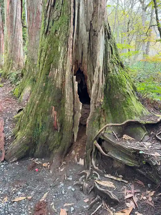 戸隠神社奥社(長野県)
