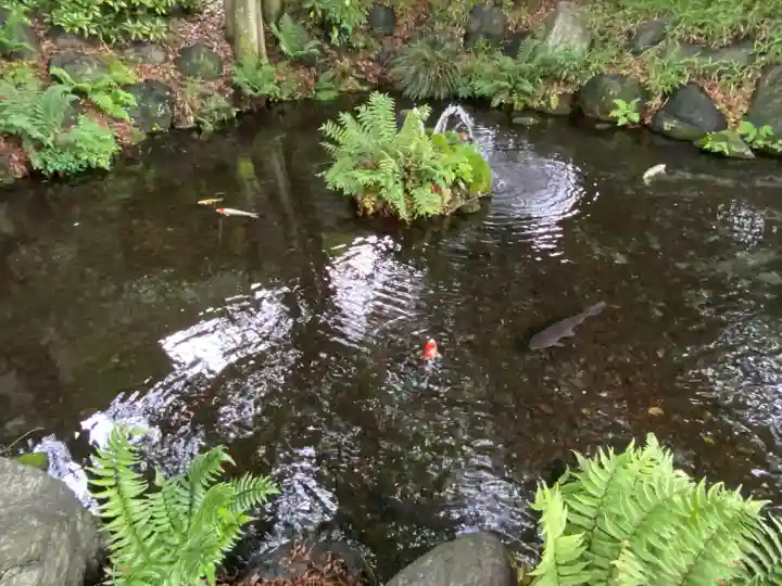 秩父今宮神社(埼玉県)