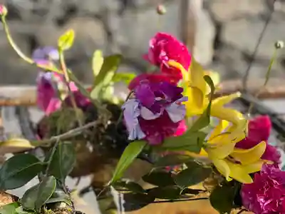 興聖寺（興聖寶林禅寺）の手水舎