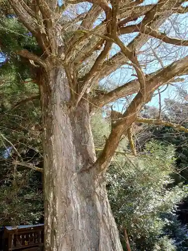 大野瀬神社(愛知県)