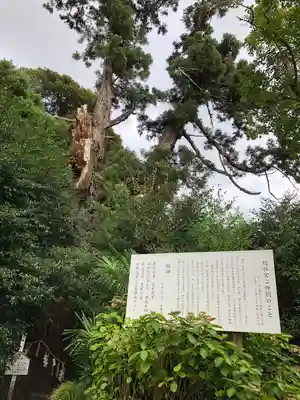 陸奥総社宮(宮城県)