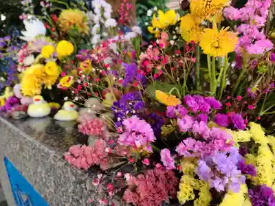 滑川神社 - 仕事と子どもの守り神の手水舎