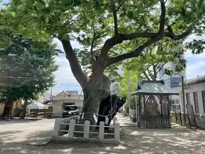 阿邪訶根神社(福島県)