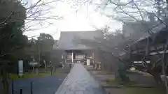 光明寺（粟生光明寺）の本殿