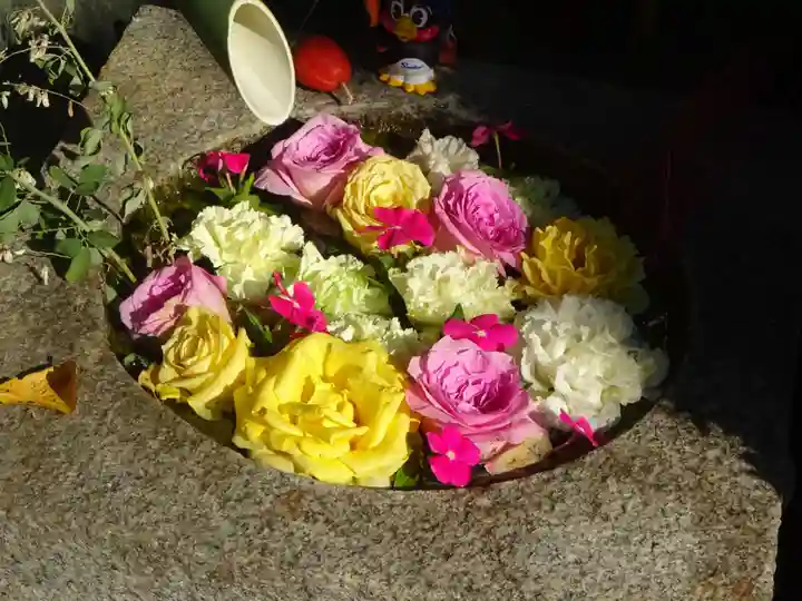 宗隆寺の手水舎