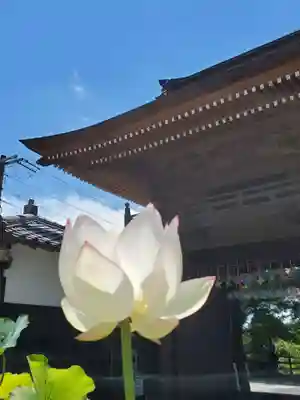 普門寺(切り絵御朱印発祥の寺)のその他建物