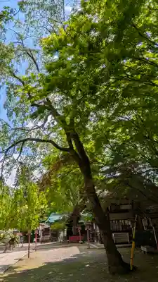 松ヶ崎大黒天 妙圓寺（妙円寺）(京都府)