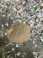 日枝神社の自然