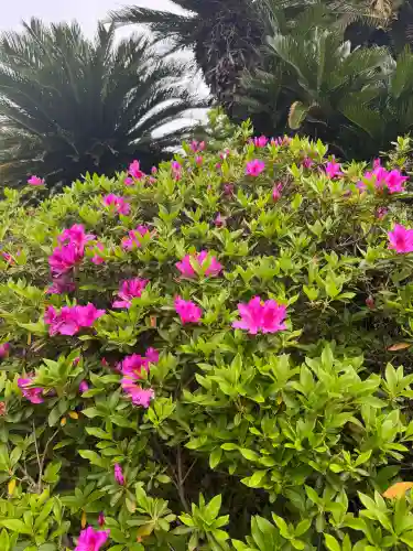 伊勢の国 四天王寺の{uncategorized: "未分類", other: "その他", undefined: "問題あり", building: "その他建物", grave: "お墓", sacred_gate: "鳥居", guardian: "狛犬", statue: "像", buddha: "仏像", history: "歴史", nature: "自然", garden: "庭園", animal: "動物", pagoda: "塔", temizu: "手水舎", mountain_gate: "山門・神門", sanctuary: "本殿・本堂", subordinate: "末社・摂社", art: "芸術", scenery: "景色", jizo: "地蔵", ema: "絵馬", goshuin: "御朱印", omikuji: "おみくじ", items: "授与品その他", amulet: "お守り", goshuincho: "御朱印帳", eats: "食事", festival: "お祭り", votive_dance: "神楽", shichigosan: "七五三参", wedding: "結婚式", experience: "体験その他", initially: "初詣", around: "周辺", anti_infection: "感染症対策"}