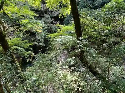 元伊勢天岩戸神社(京都府)