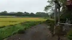 稲荷神社の自然