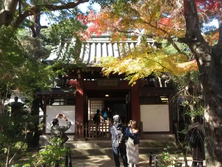 本土寺の山門・神門