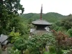 一乗寺の建物その他