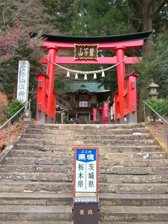 鷲子山上神社の{uncategorized: "未分類", other: "その他", undefined: "問題あり", building: "その他建物", grave: "お墓", sacred_gate: "鳥居", guardian: "狛犬", statue: "像", buddha: "仏像", history: "歴史", nature: "自然", garden: "庭園", animal: "動物", pagoda: "塔", temizu: "手水舎", mountain_gate: "山門・神門", sanctuary: "本殿・本堂", subordinate: "末社・摂社", art: "芸術", scenery: "景色", jizo: "地蔵", ema: "絵馬", goshuin: "御朱印", omikuji: "おみくじ", items: "授与品その他", amulet: "お守り", goshuincho: "御朱印帳", eats: "食事", festival: "お祭り", votive_dance: "神楽", shichigosan: "七五三参", wedding: "結婚式", experience: "体験その他", initially: "初詣", around: "周辺", anti_infection: "感染症対策"}