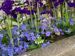 金峯神社の自然