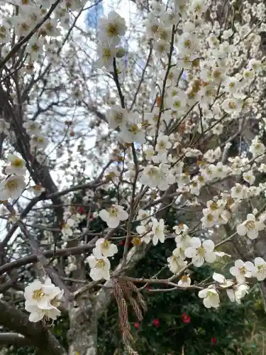 大井神社の{uncategorized: "未分類", other: "その他", undefined: "問題あり", building: "その他建物", grave: "お墓", sacred_gate: "鳥居", guardian: "狛犬", statue: "像", buddha: "仏像", history: "歴史", nature: "自然", garden: "庭園", animal: "動物", pagoda: "塔", temizu: "手水舎", mountain_gate: "山門・神門", sanctuary: "本殿・本堂", subordinate: "末社・摂社", art: "芸術", scenery: "景色", jizo: "地蔵", ema: "絵馬", goshuin: "御朱印", omikuji: "おみくじ", items: "授与品その他", amulet: "お守り", goshuincho: "御朱印帳", eats: "食事", festival: "お祭り", votive_dance: "神楽", shichigosan: "七五三参", wedding: "結婚式", experience: "体験その他", initially: "初詣", around: "周辺", anti_infection: "感染症対策"}