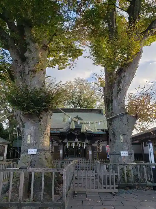 熊野宮(東京都)