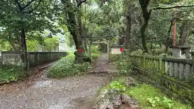 秦神社(高知県)