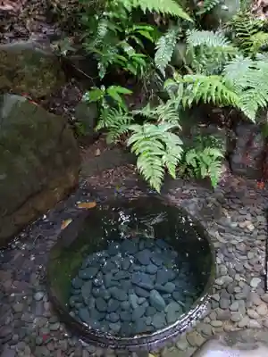 明治神宮(東京都)