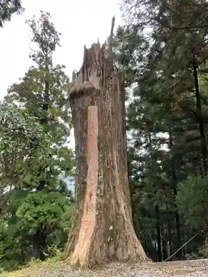 太龍寺(徳島県)