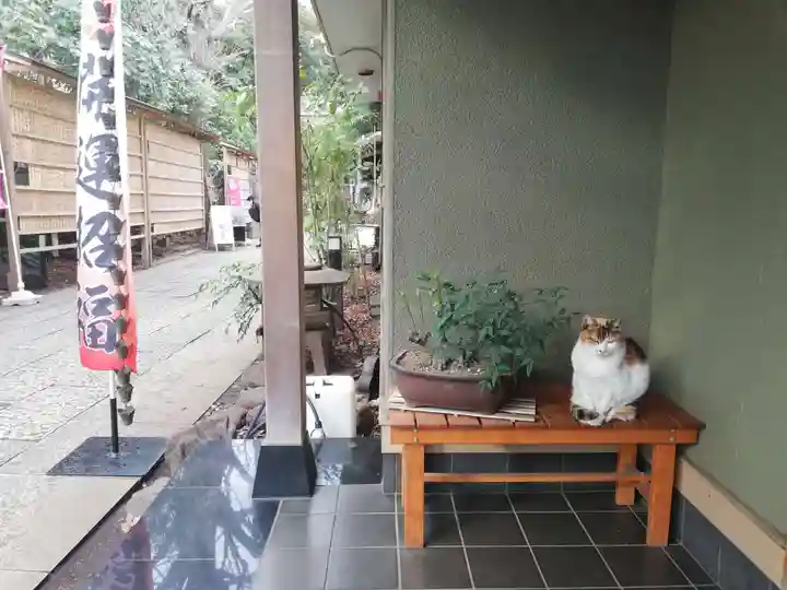 戸越八幡神社の動物