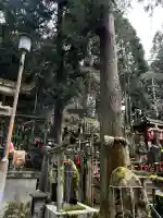 伏見稲荷大社 御膳谷奉拝所の{uncategorized: "未分類", other: "その他", undefined: "問題あり", building: "その他建物", grave: "お墓", sacred_gate: "鳥居", guardian: "狛犬", statue: "像", buddha: "仏像", history: "歴史", nature: "自然", garden: "庭園", animal: "動物", pagoda: "塔", temizu: "手水舎", mountain_gate: "山門・神門", sanctuary: "本殿・本堂", subordinate: "末社・摂社", art: "芸術", scenery: "景色", jizo: "地蔵", ema: "絵馬", goshuin: "御朱印", omikuji: "おみくじ", items: "授与品その他", amulet: "お守り", goshuincho: "御朱印帳", eats: "食事", festival: "お祭り", votive_dance: "神楽", shichigosan: "七五三参", wedding: "結婚式", experience: "体験その他", initially: "初詣", around: "周辺", anti_infection: "感染症対策"}