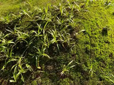西来院(京都府)