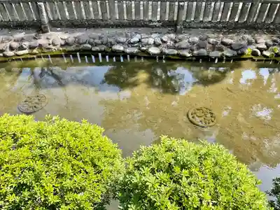 乙女稲荷神社(東京都)