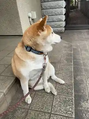 笠䅣稲荷神社(神奈川県)