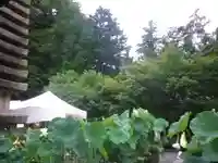 覚園寺のその他建物