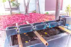 善知鳥神社(青森県)