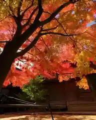 滑川神社 - 仕事と子どもの守り神の自然