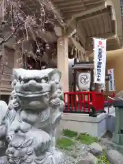 矢先稲荷神社の狛犬