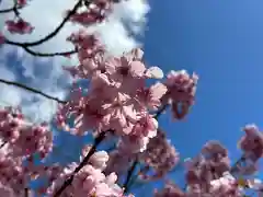 富士山本宮浅間大社(静岡県)