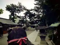 茨木神社の建物その他