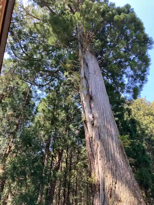 大宮八幡神社(愛媛県)