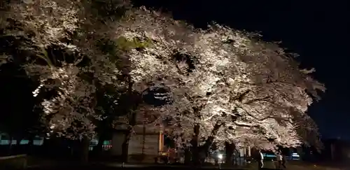 武田廣神社(山梨県)