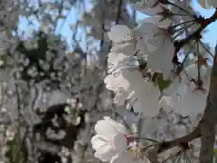 足羽神社の自然