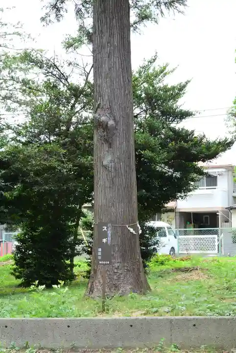 甲神社(神奈川県)