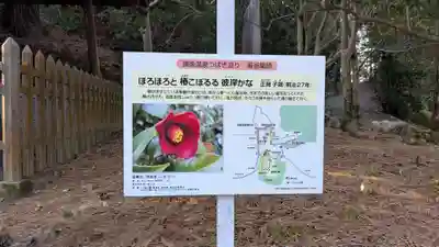 湯釜薬師(愛媛県)