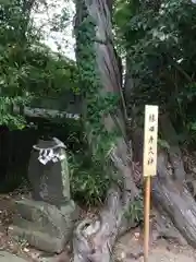 星宮神社の自然