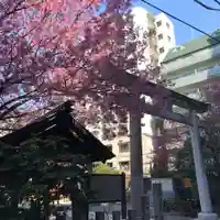 蔵前神社の鳥居