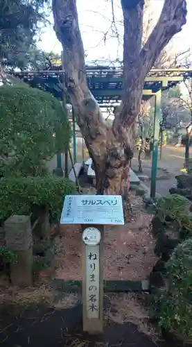 三寳寺の自然