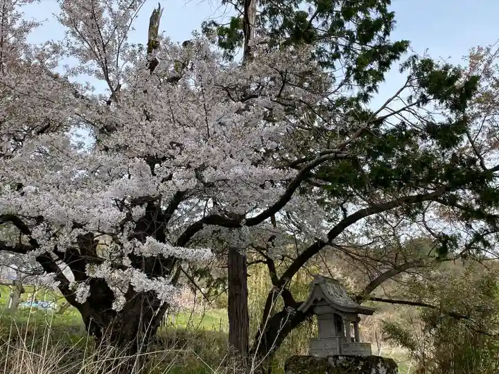 小玉神社の自然