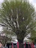 祐照庵 大戸観音堂(東京都)