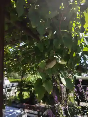 来福寺(福島県)